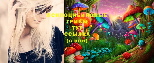 СК Остров