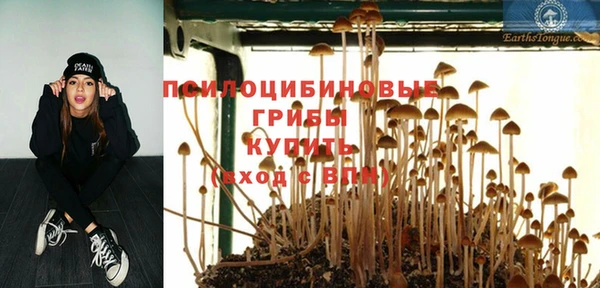 прущие крисы Осинники