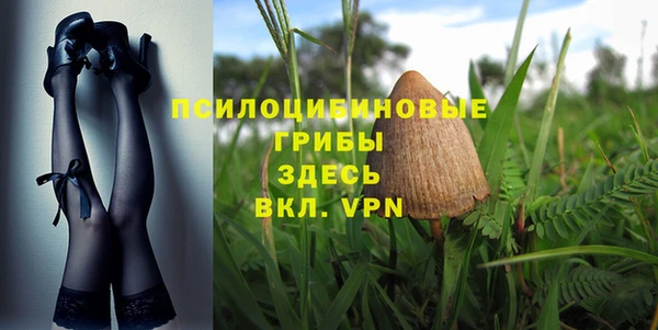 прущие крисы Осинники