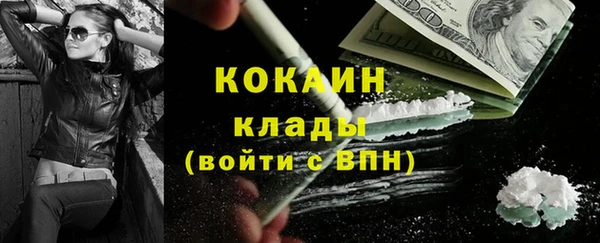 Альфа ПВП Пестово