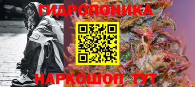 ГАЛЛЮЦИНОГЕННЫЕ ГРИБЫ Балахна