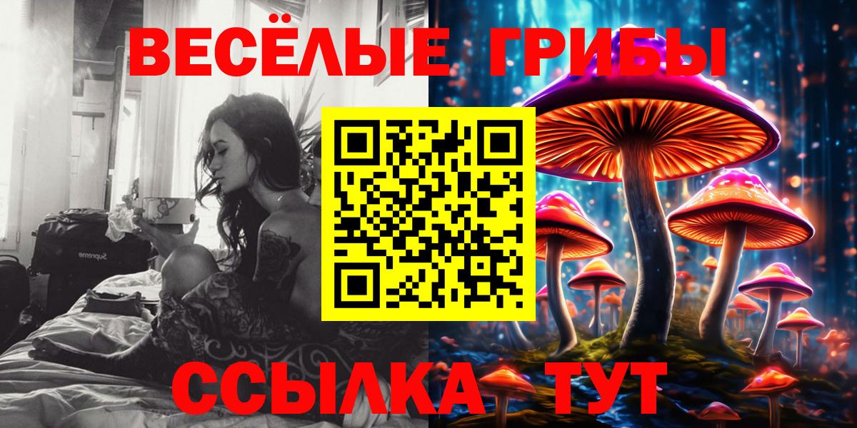 Галлюциногенные грибы MAGIC MUSHROOMS  Псилоцибиновые грибы MAGIC MUSHROOMS  Новокубанск 