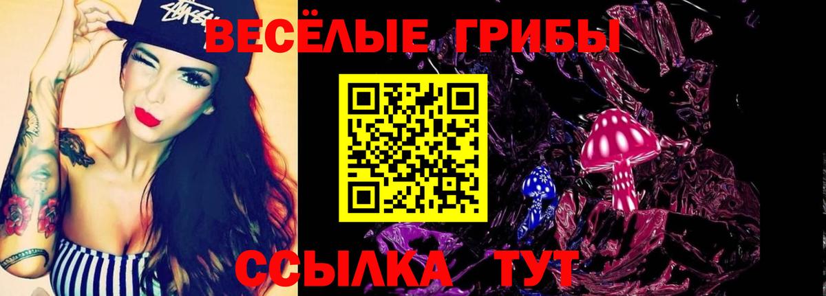 Новокубанск  Галлюциногенные грибы Magic Shrooms  Галлюциногенные грибы Psilocybe  Вход с VPN 